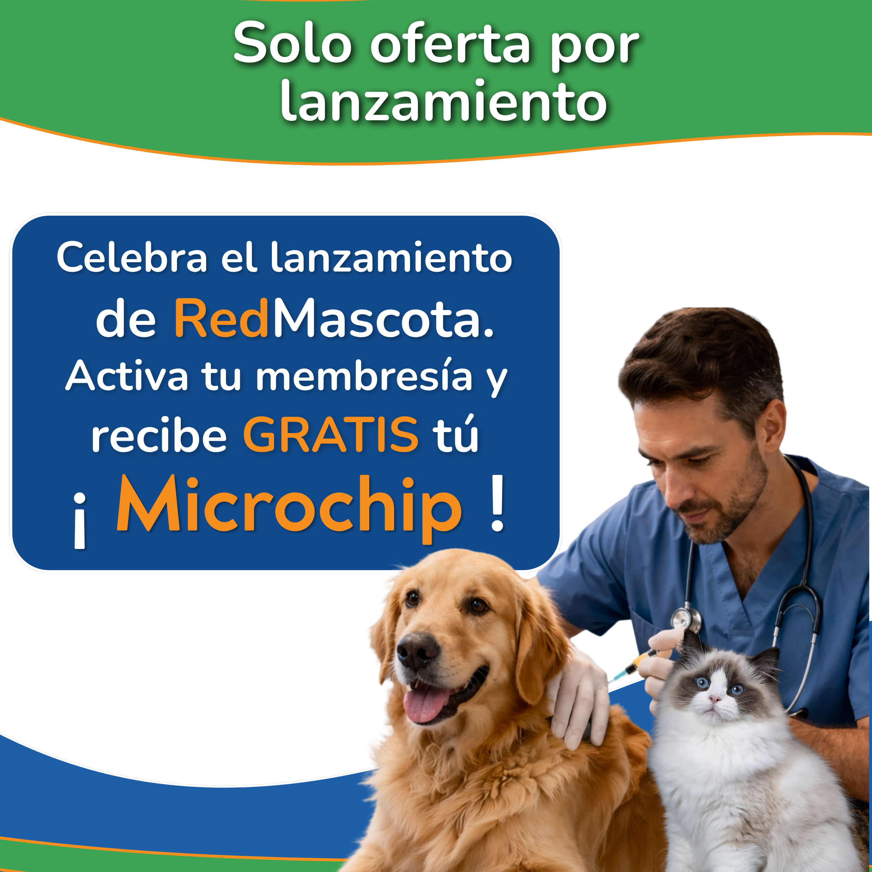 Comunidad RedMascota