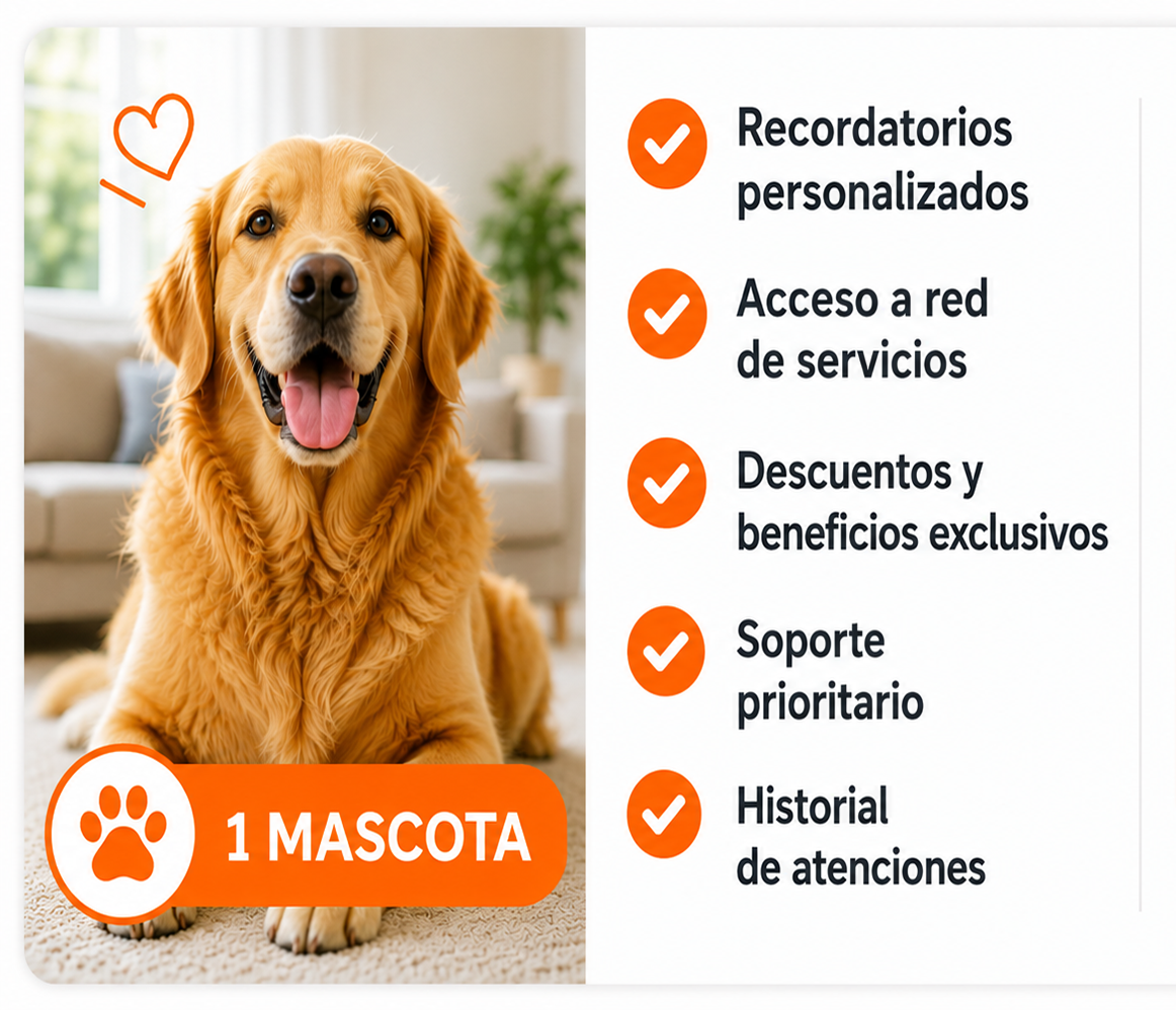 Plan 1 Mascota